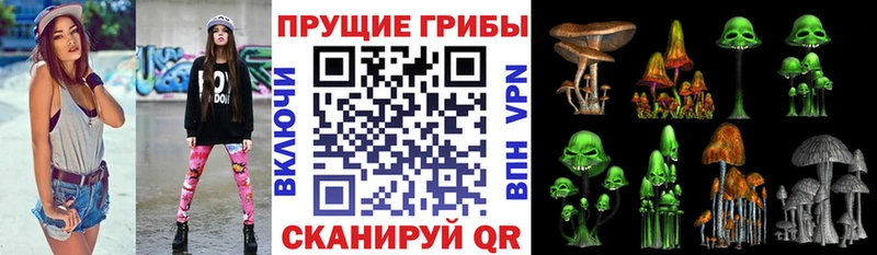 Псилоцибиновые грибы ЛСД Нязепетровск