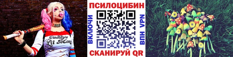 Псилоцибиновые грибы мухоморы  Нязепетровск 